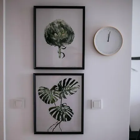 Apartament Dabska Kraków